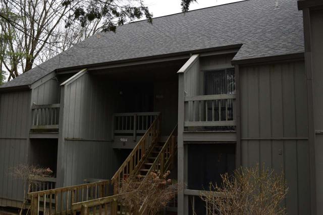 3705 Gallimore