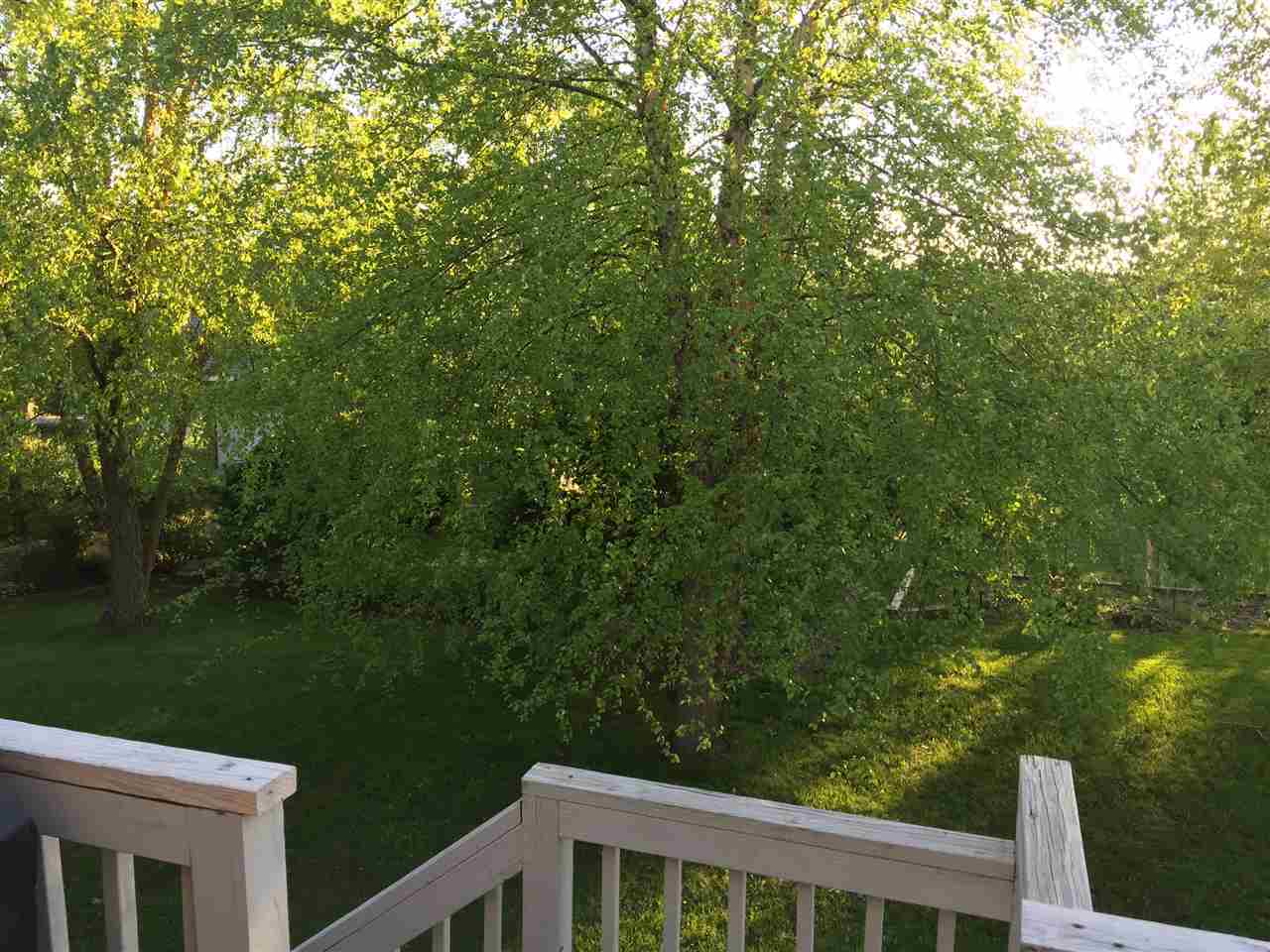 334 W Persimmon Ct