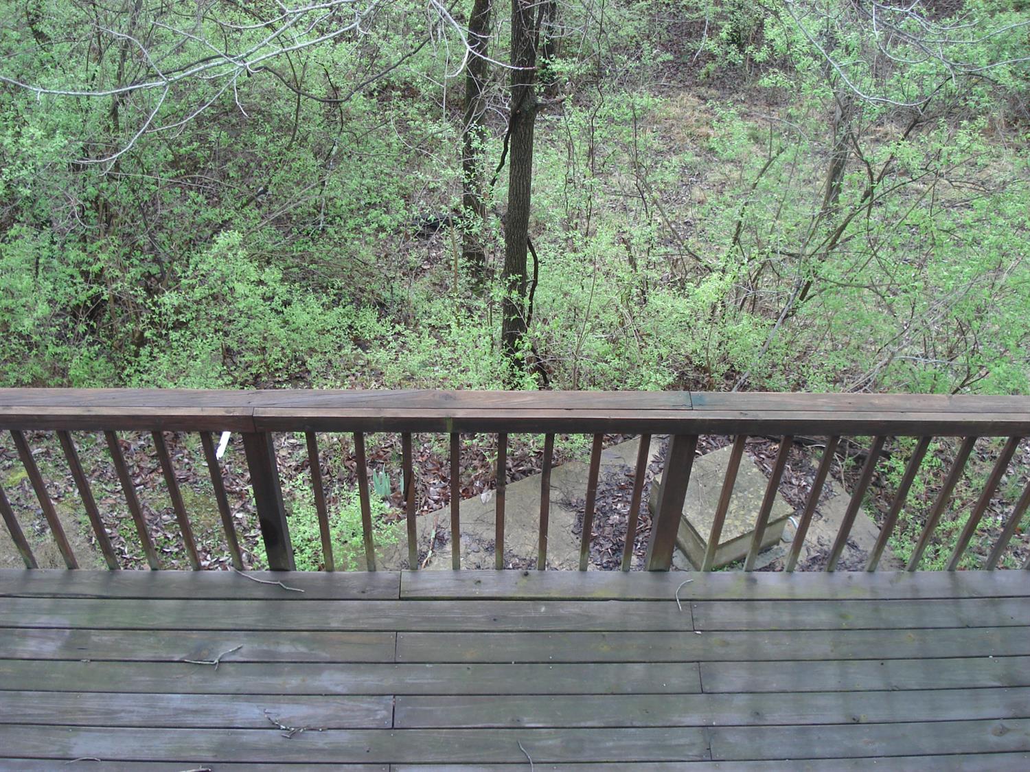 205 Cadence Branch Dr