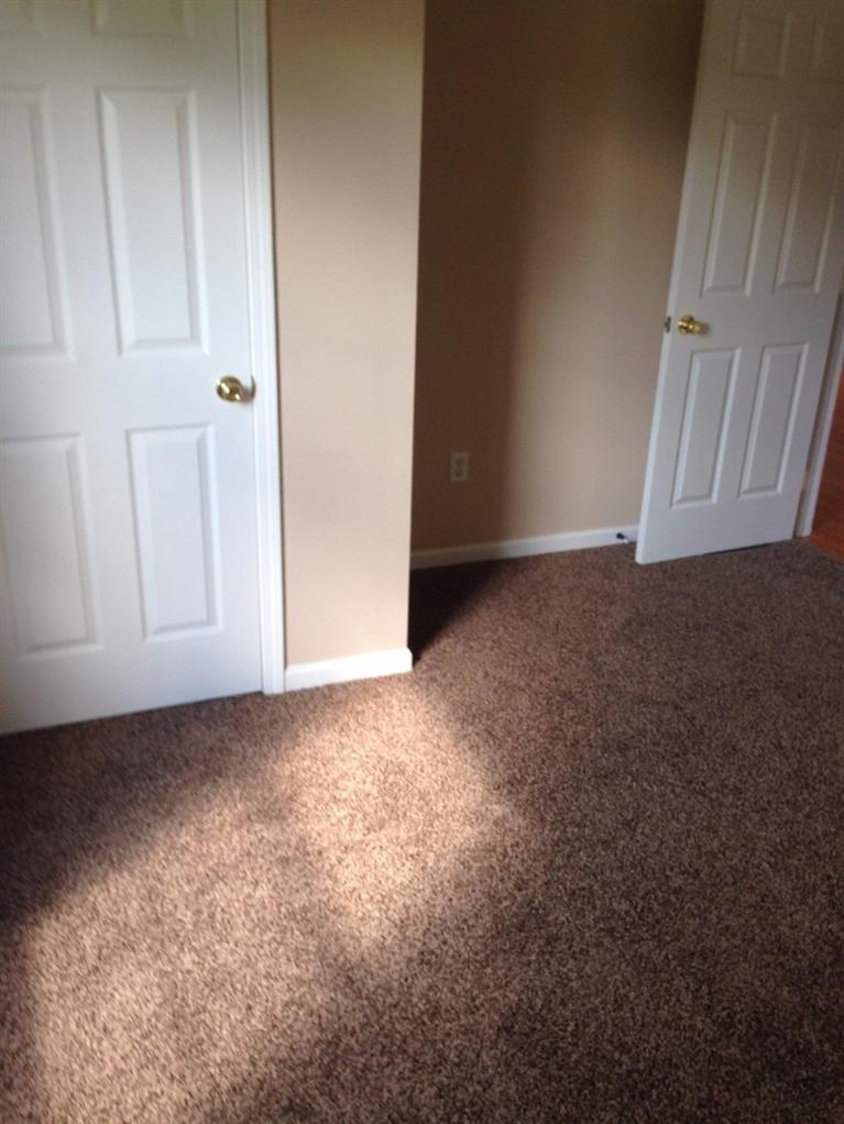 299 Gentry Dr