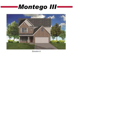 3205 Orchard Grass