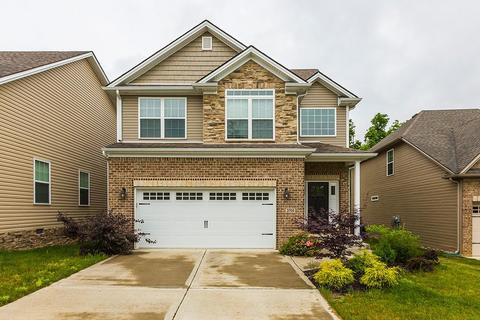 3205 Orchard Grass