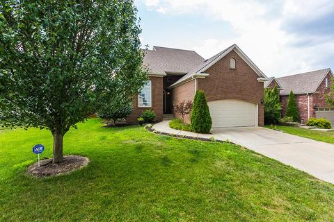 3205 Orchard Grass