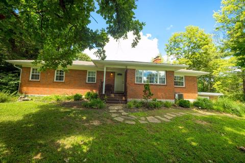 3205 Orchard Grass