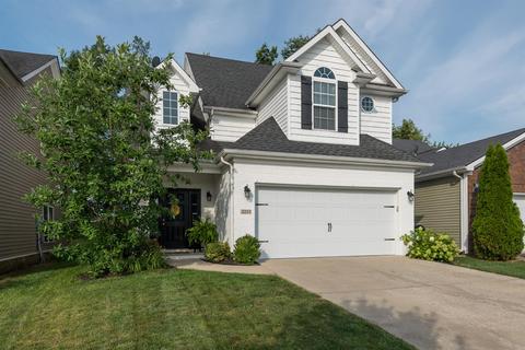 3205 Orchard Grass