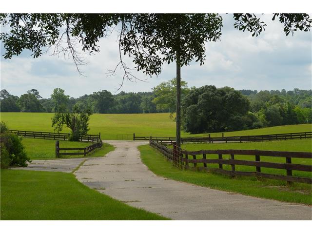 For Sale: 29380 Archie Simmons Rd Mount Hermon, LA 70450