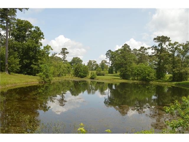 For Sale: 29380 Archie Simmons Rd Mount Hermon, LA 70450