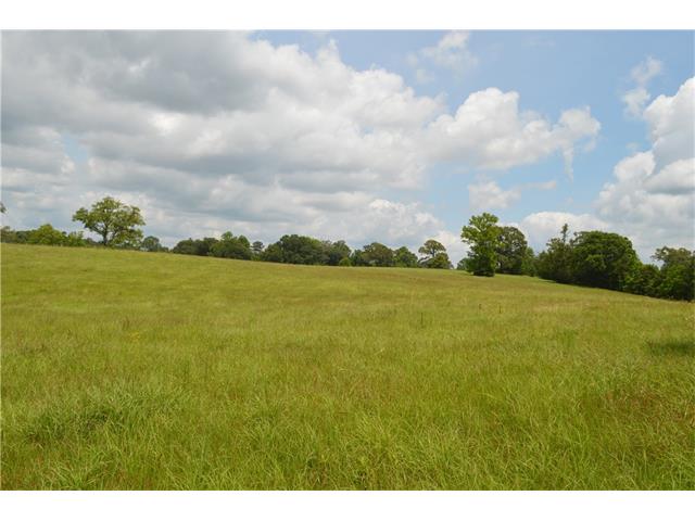 For Sale: 29380 Archie Simmons Rd Mount Hermon, LA 70450