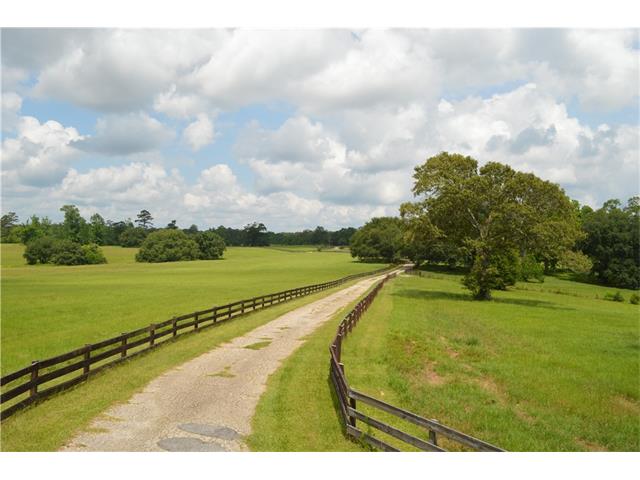 For Sale: 29380 Archie Simmons Rd Mount Hermon, LA 70450