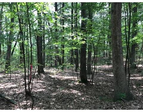 43 Linnaean St #45