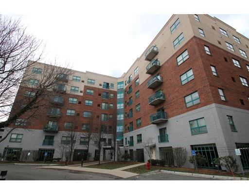141 Essex St #A6