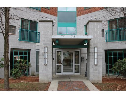 141 Essex St #A6
