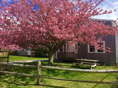 7 Wood Lily Rd
