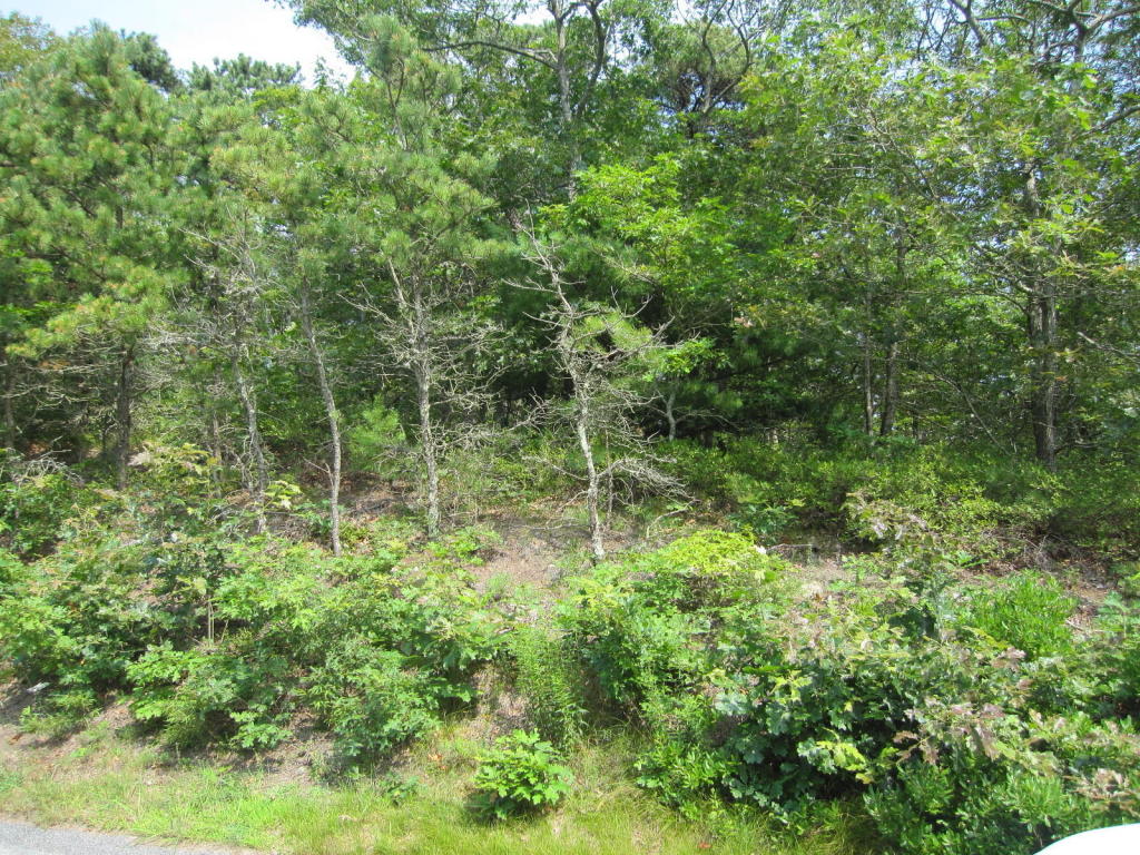 5 Evergreen St