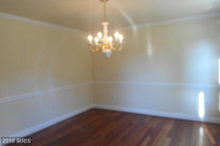 6069 Sirenia Pl