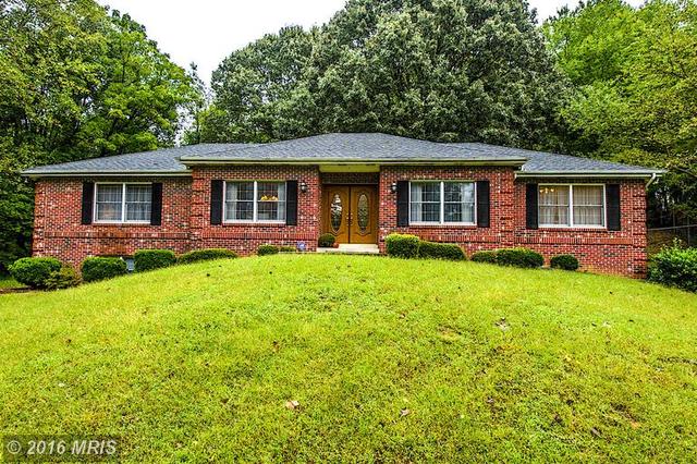 16900 River Airport Rd