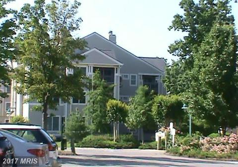 12828 Rio Grande Trl