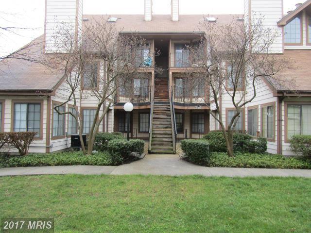4509 Romlon St #202