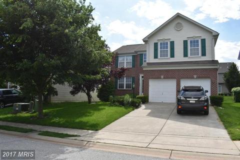 10007 Calla Ct