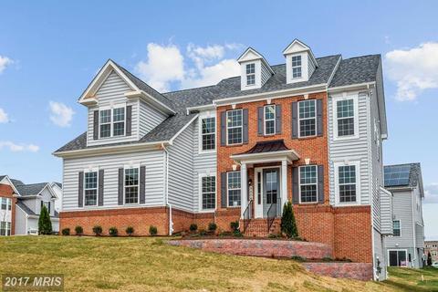 10007 Calla Ct