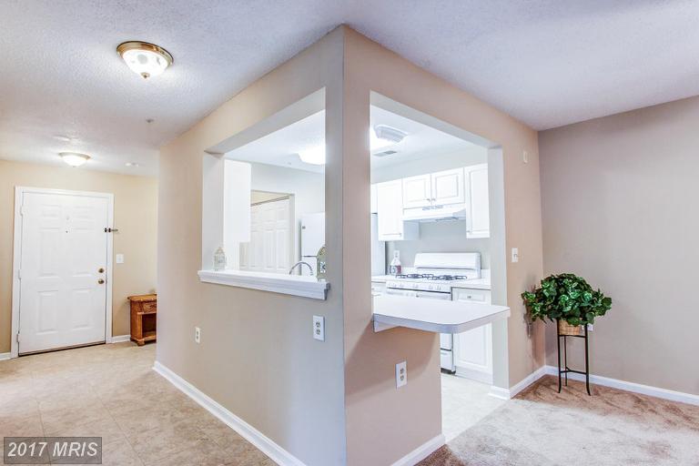 909 Hillside Lake Ter #507