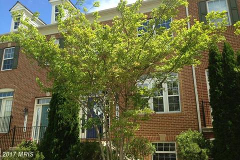 13131 Sutler Square Ter