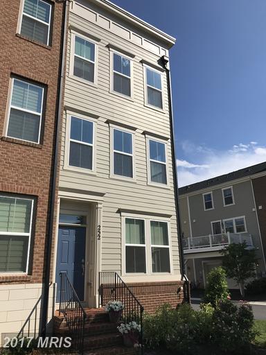 121 Copley Cir #34-B