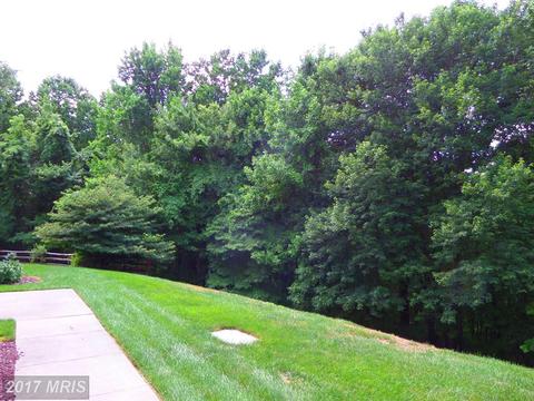 404 Harrison Ct #1