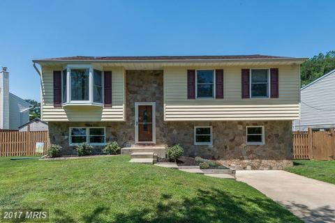 111 Andel Ct