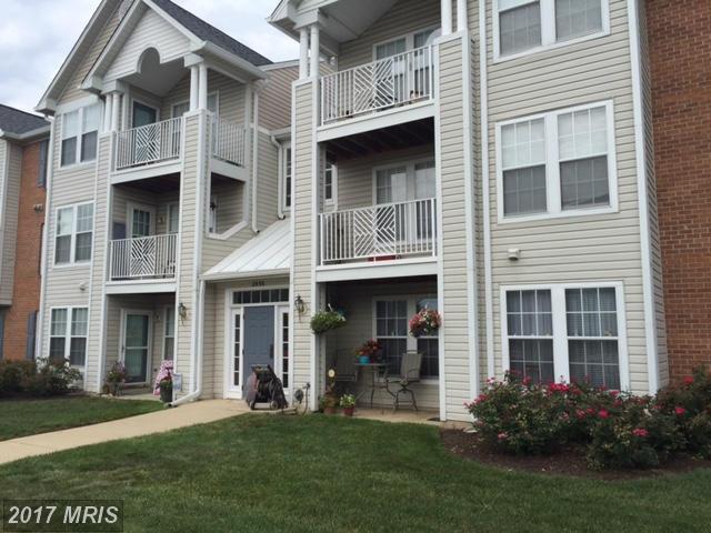 2456 Apple Blossom Ln #104