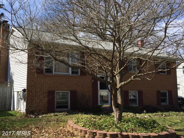 161 Overlea Rd
