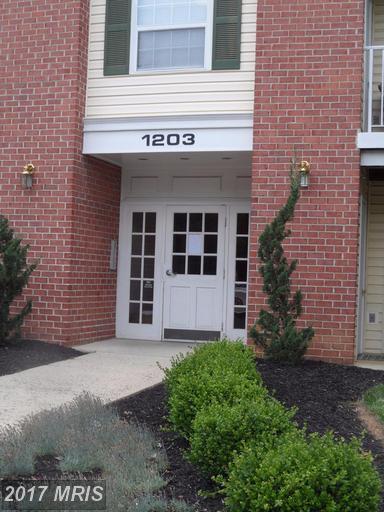 205 Joppa Rd #1507