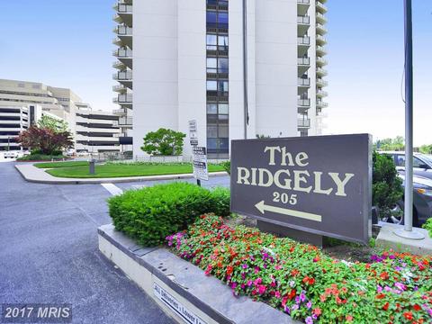 205 Joppa Rd #1507