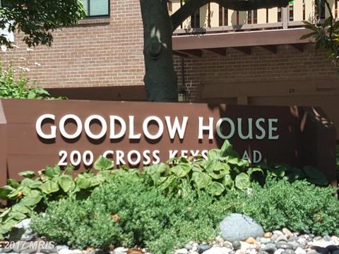 205 Joppa Rd #1507