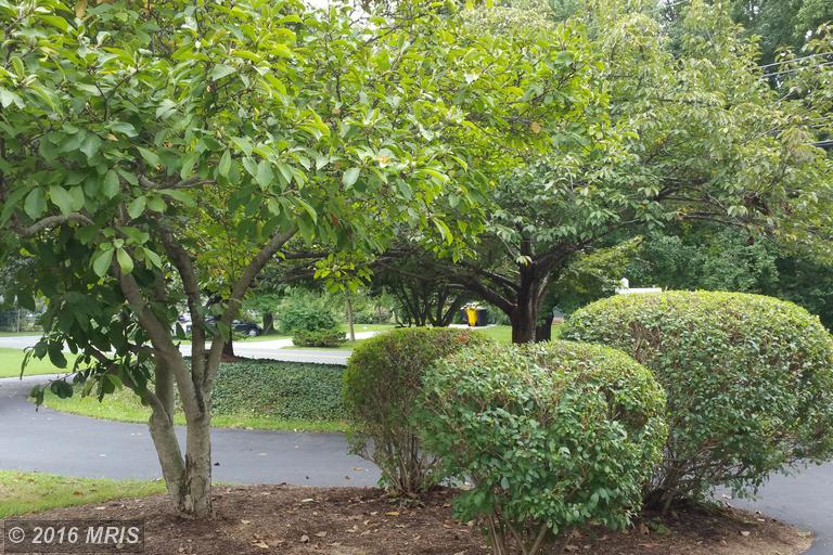 1847 Cherry Rd
