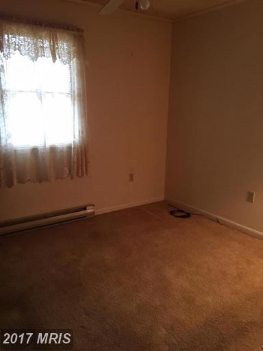 411 Stayton St