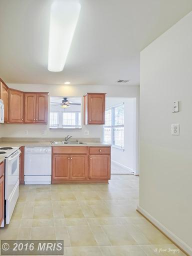 810 Roller Coaster Ct