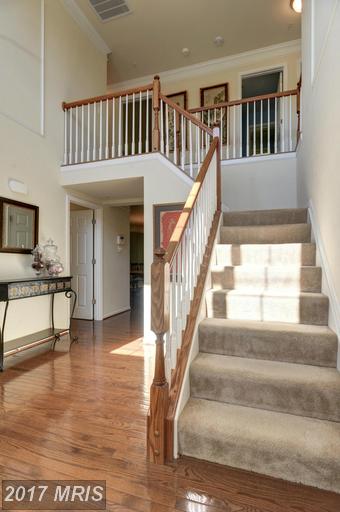 223 Stoneledge Ct