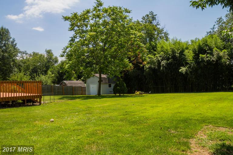 31 Westfield Dr