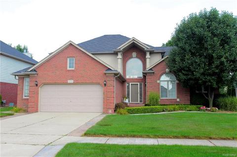 48298 American Elm