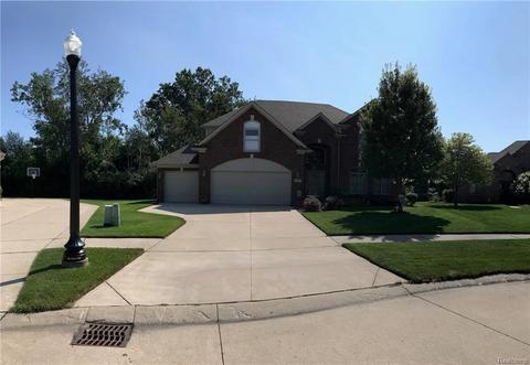 48298 American Elm
