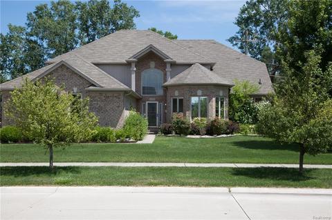 48298 American Elm