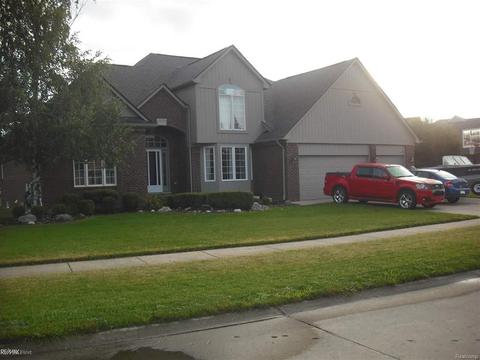 48298 American Elm
