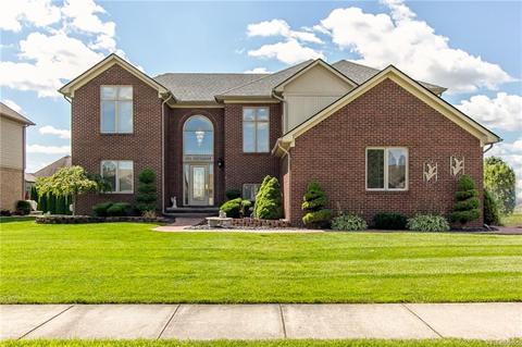48298 American Elm