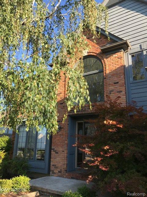 48298 American Elm