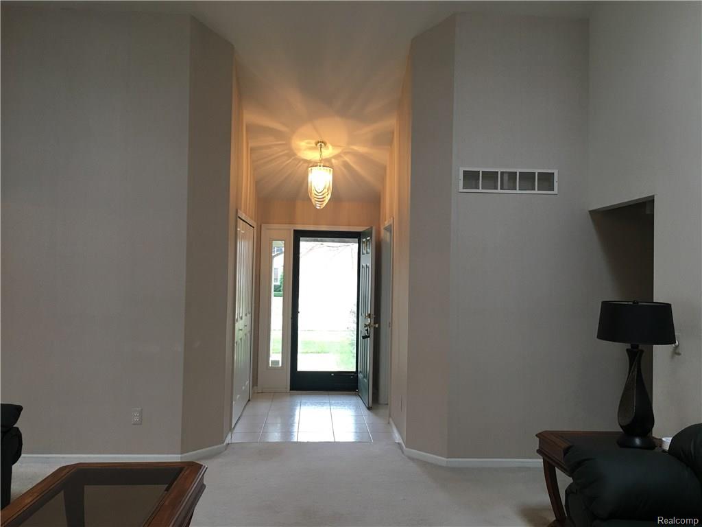 31175 English Oaks