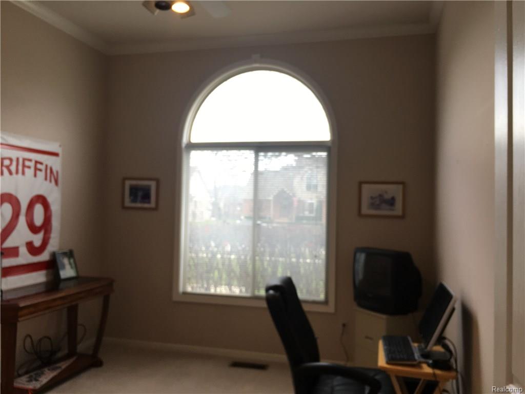 31175 English Oaks