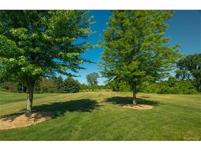 For Sale: 19728 Deerfield Crse Chelsea, MI 48118