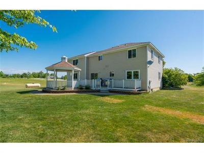 For Sale: 19728 Deerfield Crse Chelsea, MI 48118