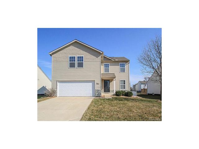 1262 Beavertail